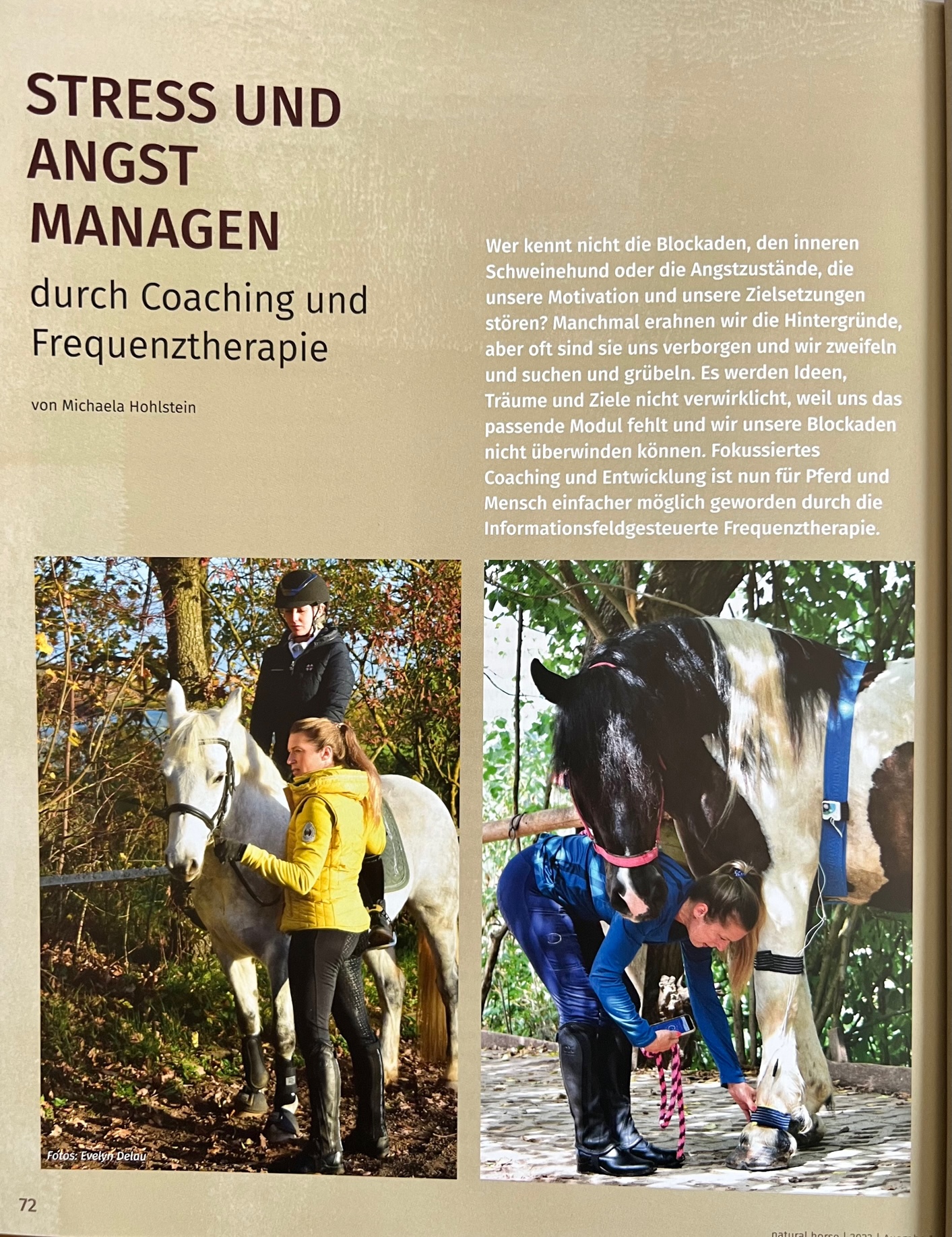 Artikel Natural Horse 01-2023 S. 2.jpg